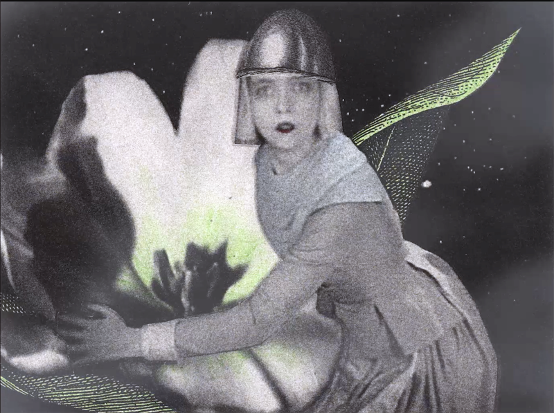 The Stars Watch from Long ago - Lillianflower © Stacey