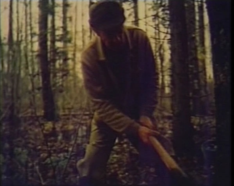 Un homme coupe un arbre