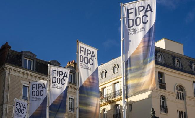 Bannières du Fipadoc au vent © Fipadoc